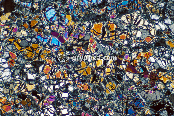 Péridotite serpentinisée LPA x10 - gryphea.com